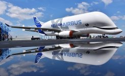 The airbus BelugaXL enters service and expands the capacity of the fleet